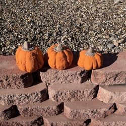Pumpkin Decorations 
