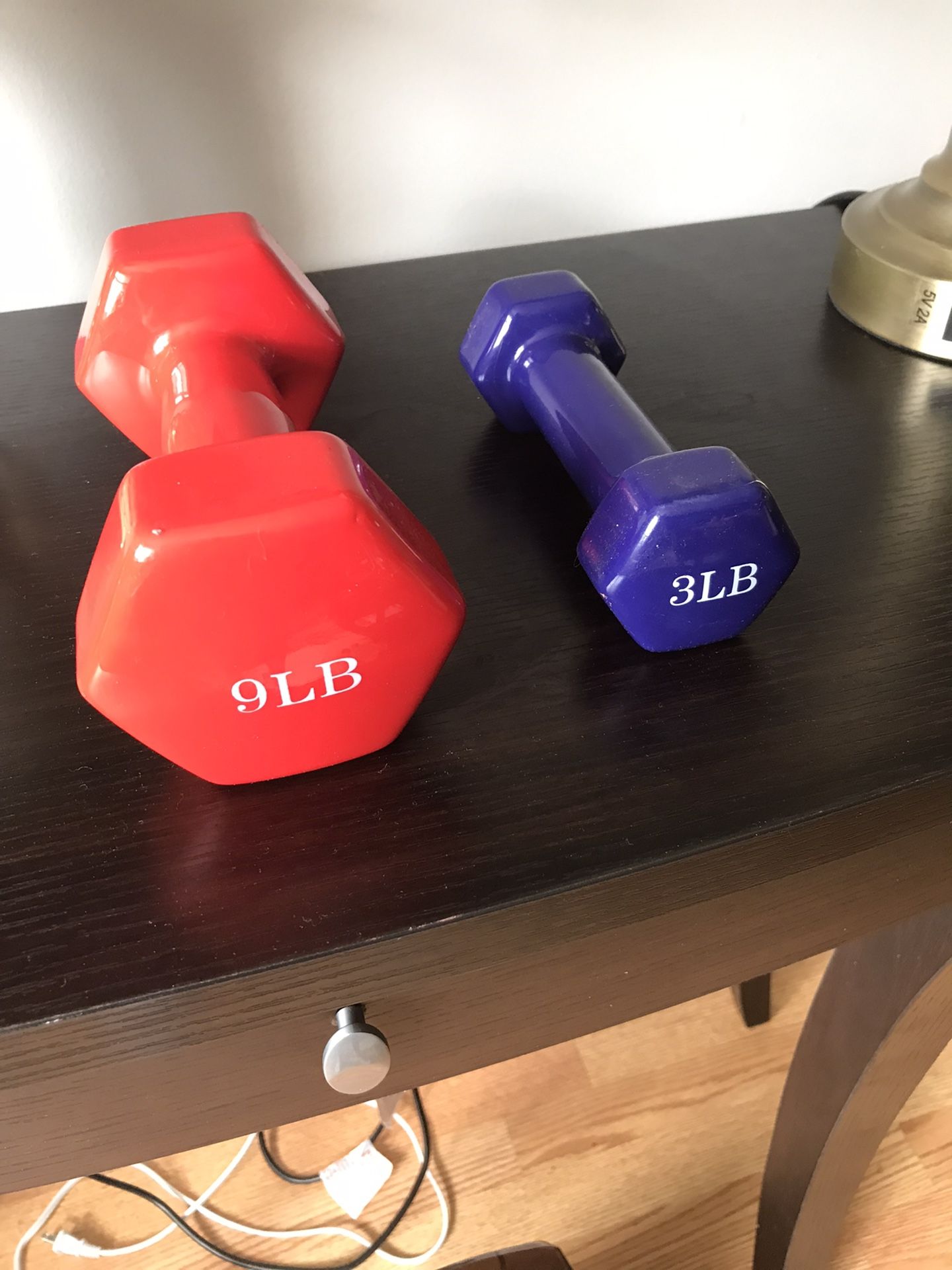 One 9 Lb And 3 Lb Weights