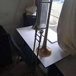 Trombone (Musical Instrument)