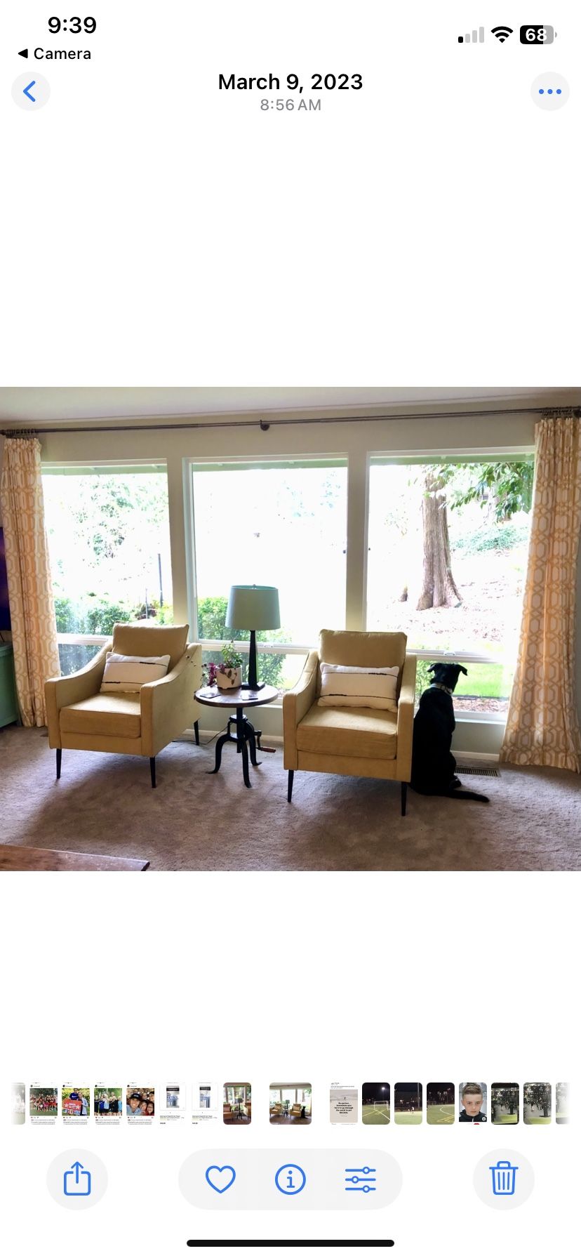 Mid Century Modern Accent Chairs - Yellow (set of 2)