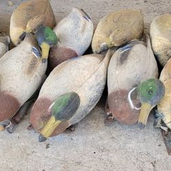 Duck Decoys