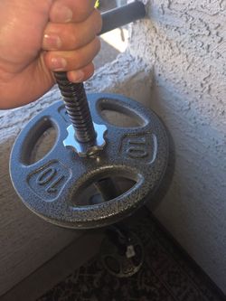 Curl bar