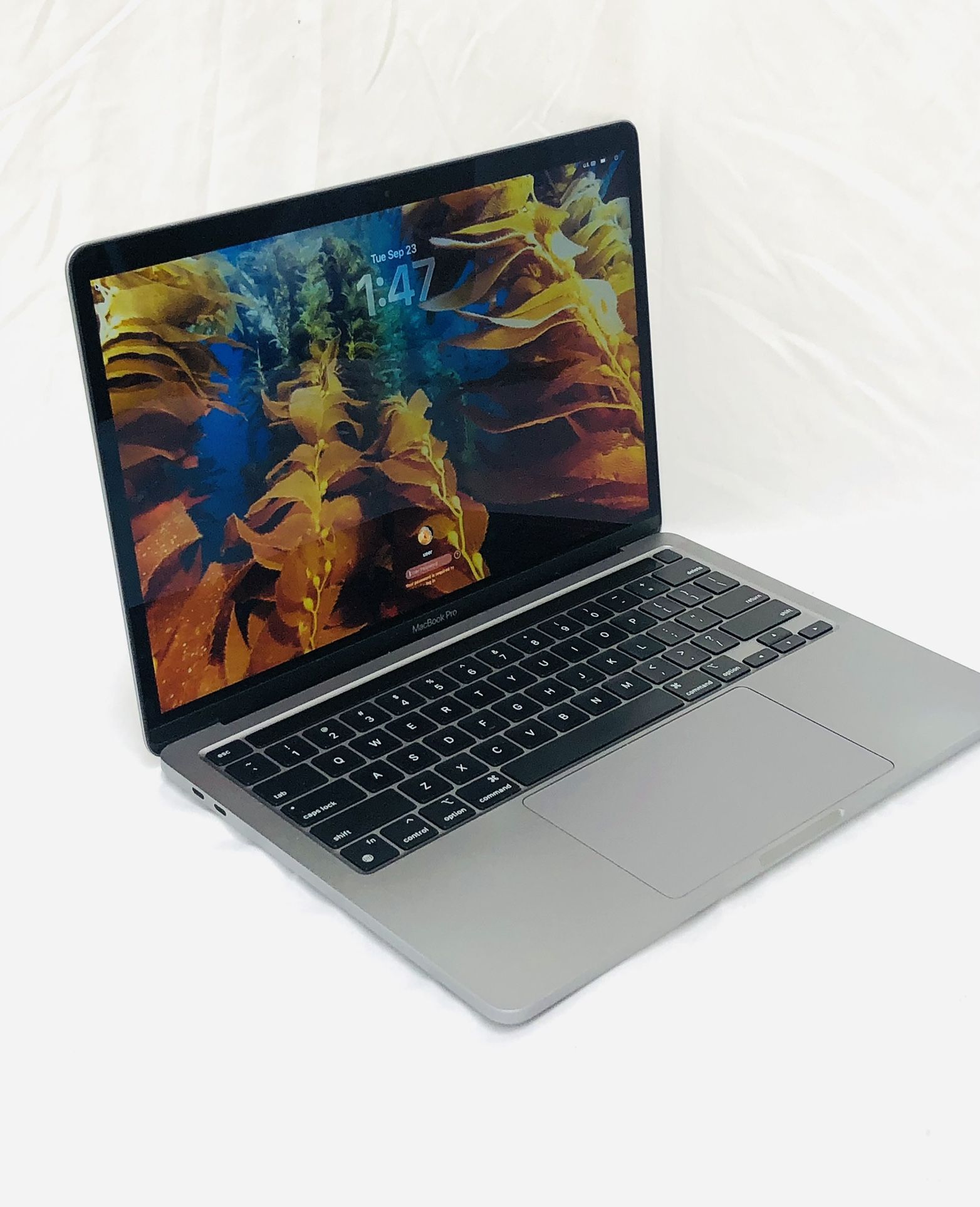 Apple 13” MacBook Pro M2 Laptop Computer (2022)