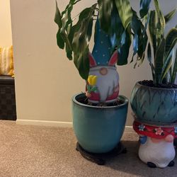 House plants different sizes , Ceramic last pots are included