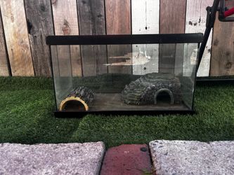 Turtle case