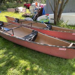 Canoe coleman odyssey 17 ft with 2 paddles ( 350 each )