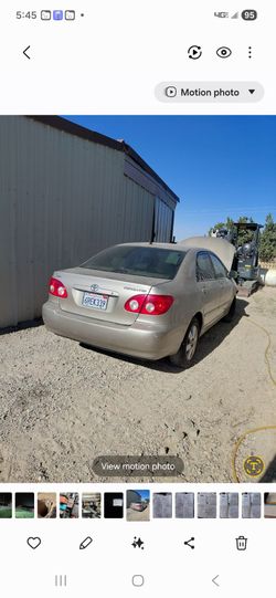 Toyota corolla