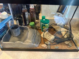 🐢 Complete Turtle Tank Setup – Everything Included! 🐢 💲 $120 OBO