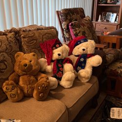 Bears 