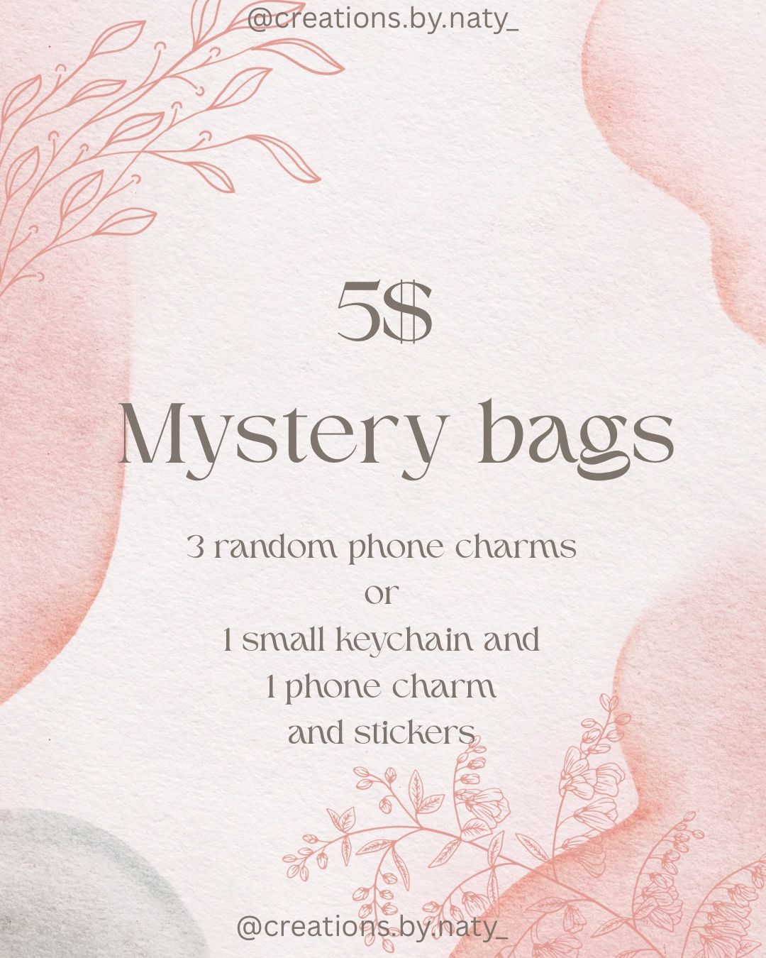 5$ Mystery Bags