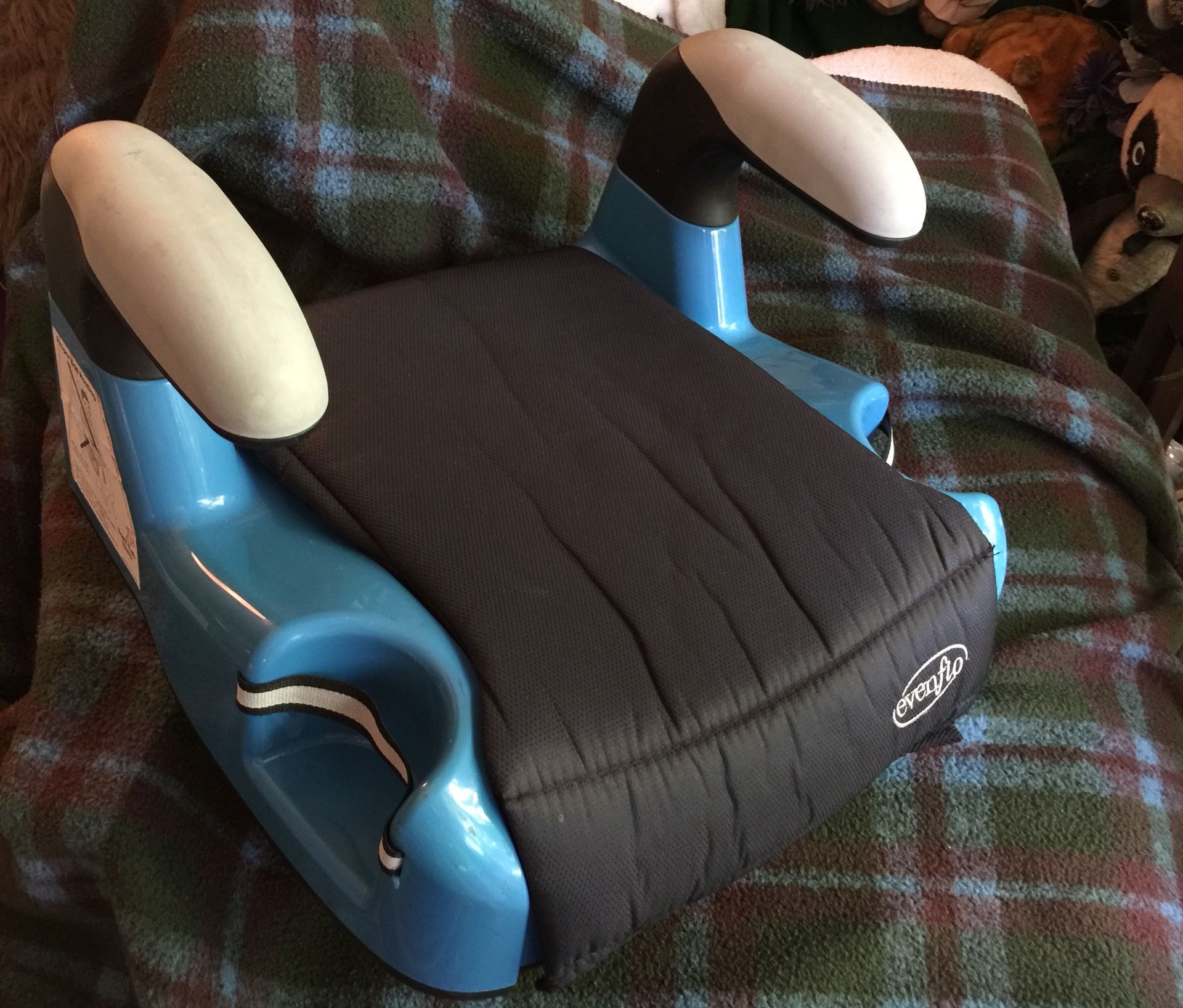Evenflo Child car booster seat