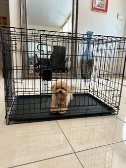 Dog cage/ dog kennel