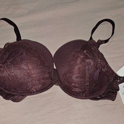 Burgundy Bra