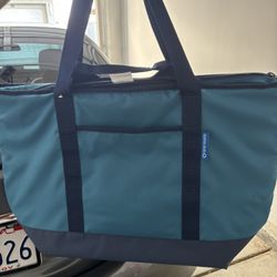 $10 - 2 Insulated Bags 
