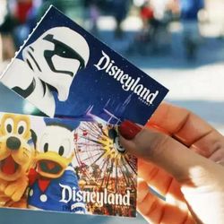 Disneyland 3day Ticket 