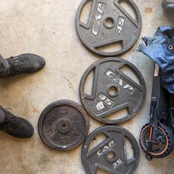 Set Of 45 Pound Plates 