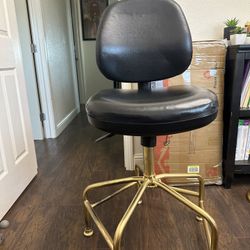 Spinning Chair 