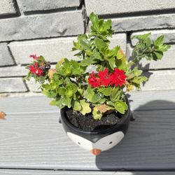 Trade For Fruits Plants 