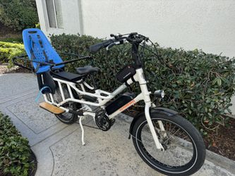 RadWagon With Yepp seat $1000