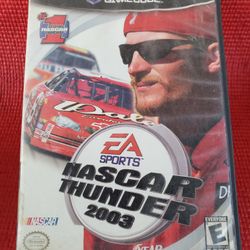 Nascar Thunder 2003 Gamecube 