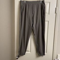 Lululemon Surge Jogger *Shorter NWT large ROVER