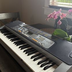 Casio Piano For Beiginners