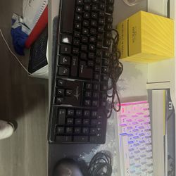 SKYTECH Gaming Keyboard k-1000 And MSI Clutch GM11 Mouse
