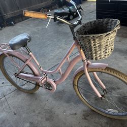Adult Bike