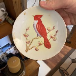 Vintage Decorative Hand Painted Plate, Red Cardinal