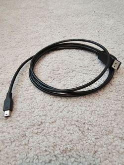 DisplayPort to Mini DisplayPort Cable
