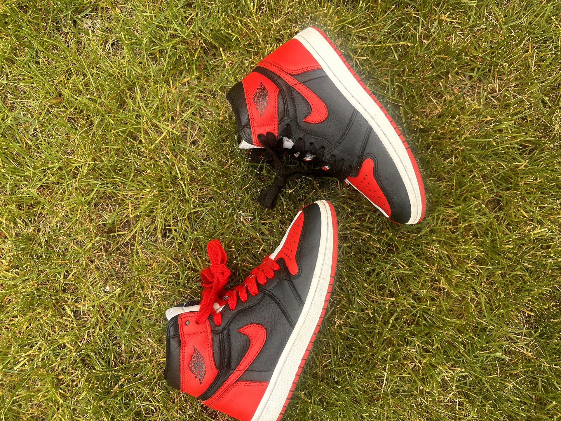 Jordan 1 Homage To Home