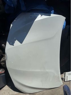 Hood for 2023 Toyota Camry hood