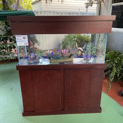 New Fish Tank 75 Gallon- Aquarium 75 Gallon-Pecera