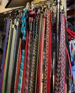 Assorted Dog Leashes