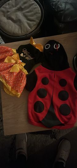 Pet Costumes!
