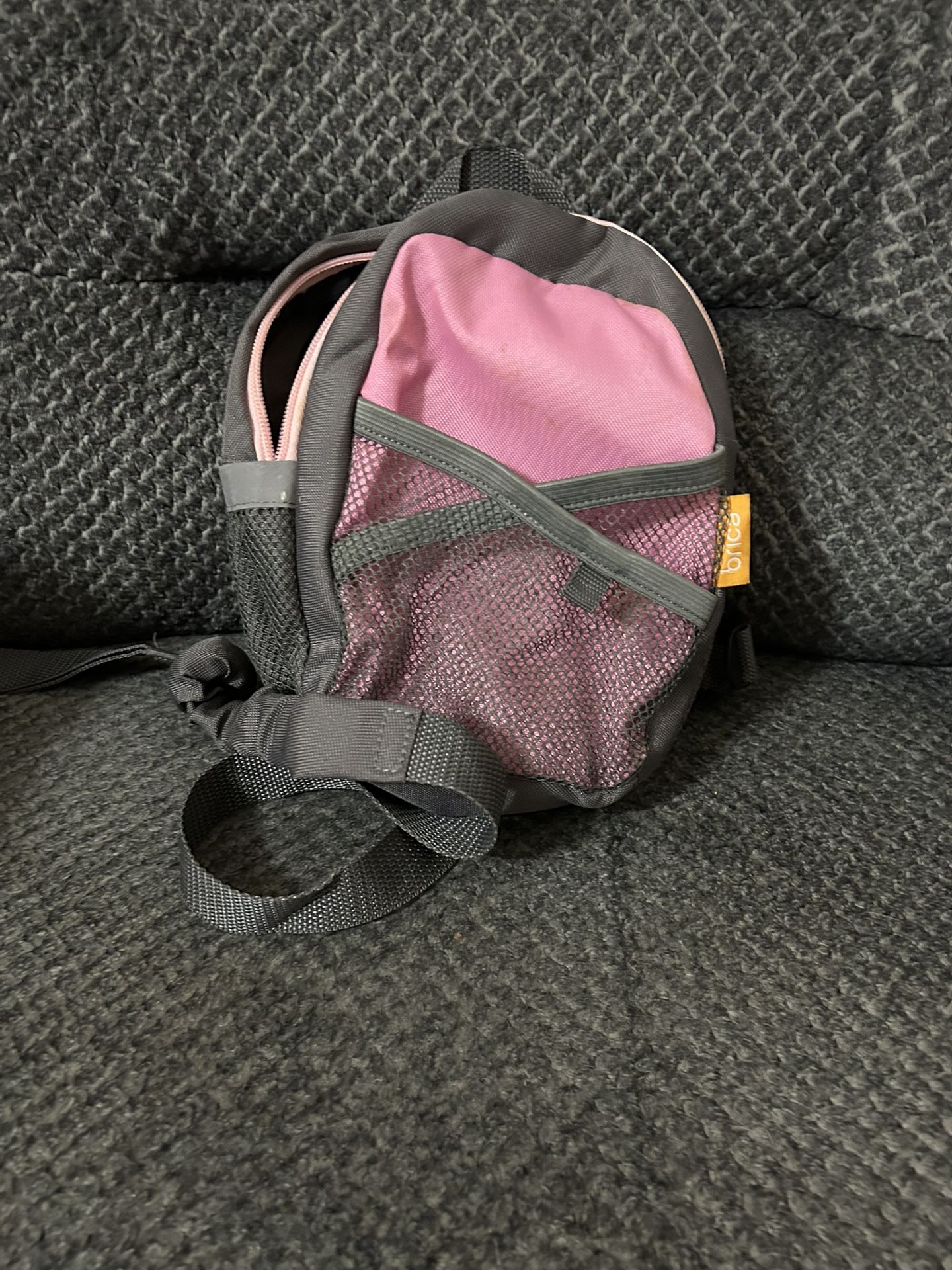 Toddler, backpack and harness in pink and gray