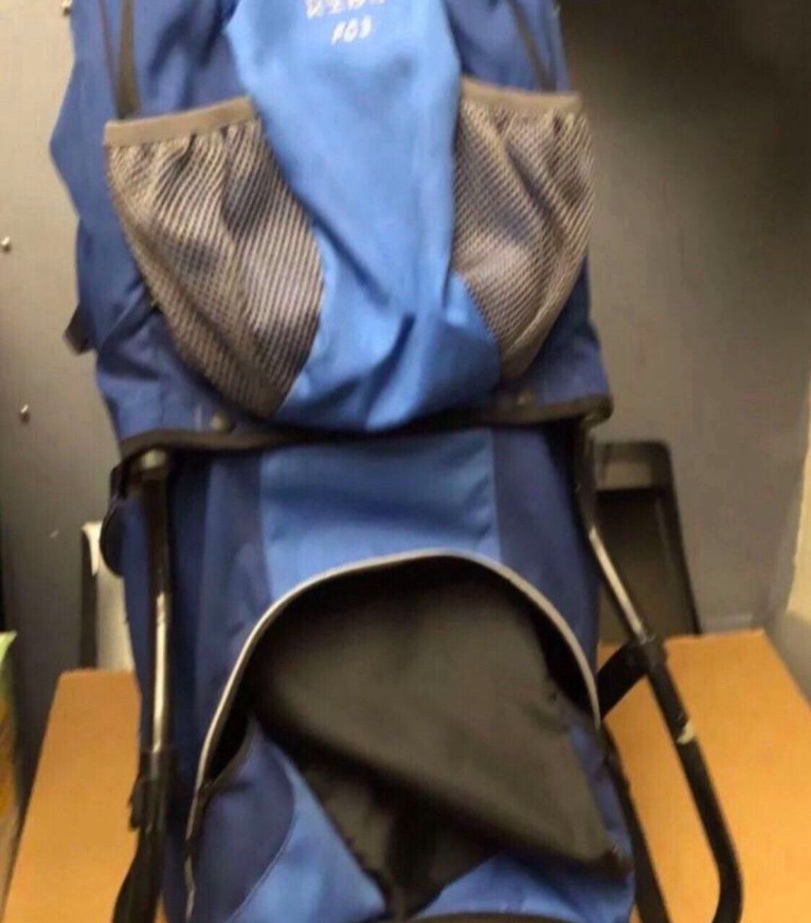 Kelty FC3 Kids Carrier Backpack Child Baby Backpack w Rain Hood