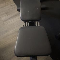 Weight Bench