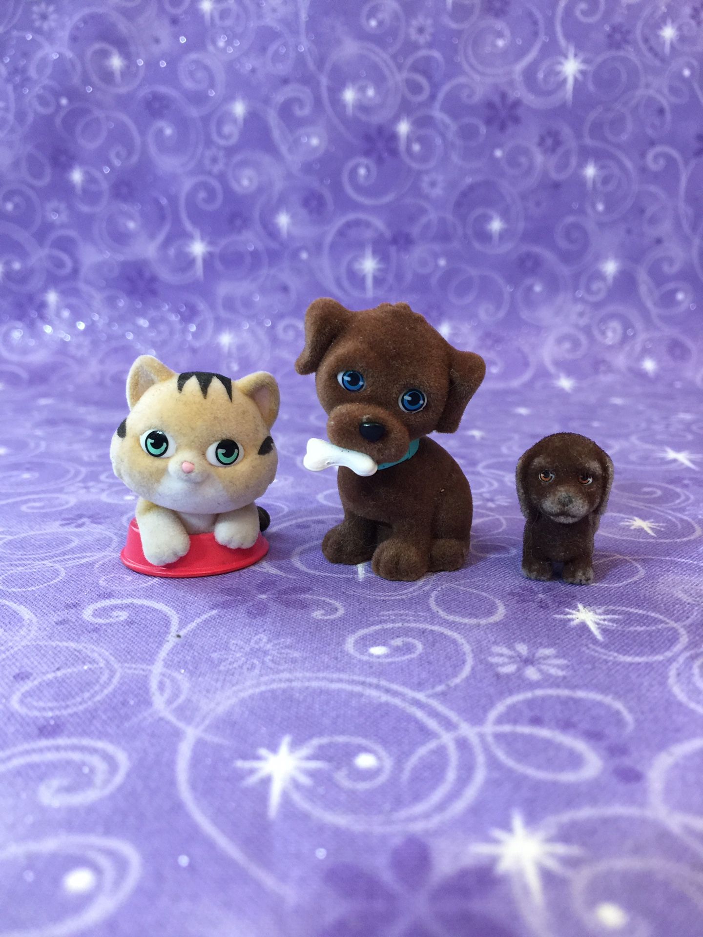 Pocket Pets