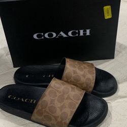 Coach Slides