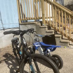 Michael Troll Sam The Picas Iron You So Much