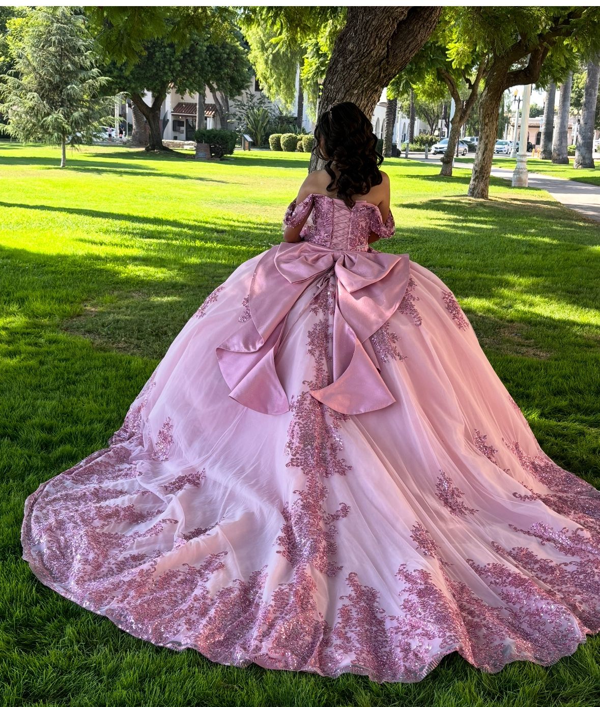 Moda 2000 Pink Quinceañera Dress- Size Small Petite