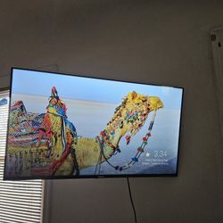 40" Hisense Smart Tv & Wall Mount