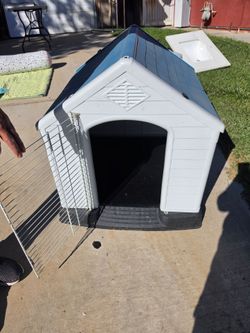 Dog House