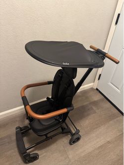 Evolur Cruise Rider Stroller with Canopy,