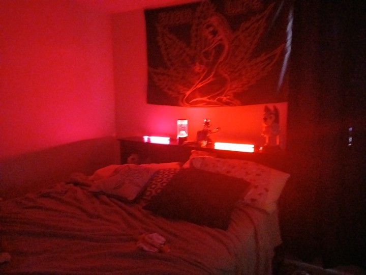 Led Pole Lights (There's An App To Use)