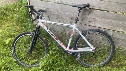 Redline Bike-adult 