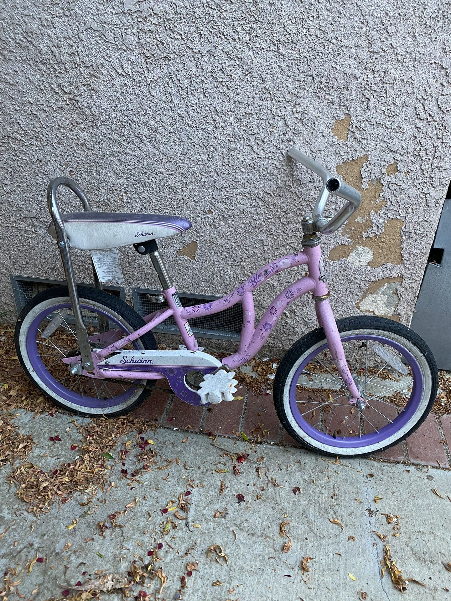  Little Girls Schwinn Bike