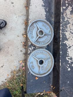 Standard Barbell 25 lb Weight Plates – Pair