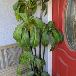 Plastic House Plant Decoration